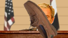 Bush shoe sock and awe