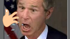 Bush slap