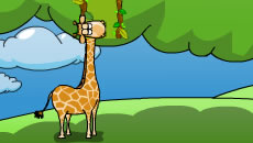 Giraffe above