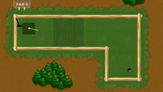 Golf Forrest 2 Challange