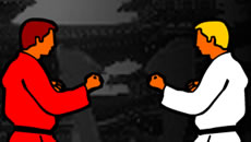 Karate igre