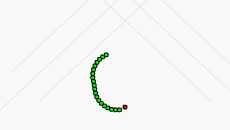 Radial Snake