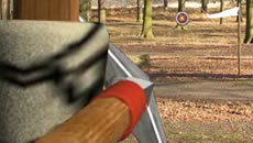 Robin hood advanture