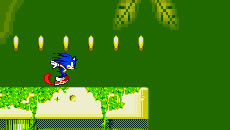 Sonic Xtreme
