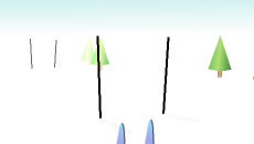 Veleslalom